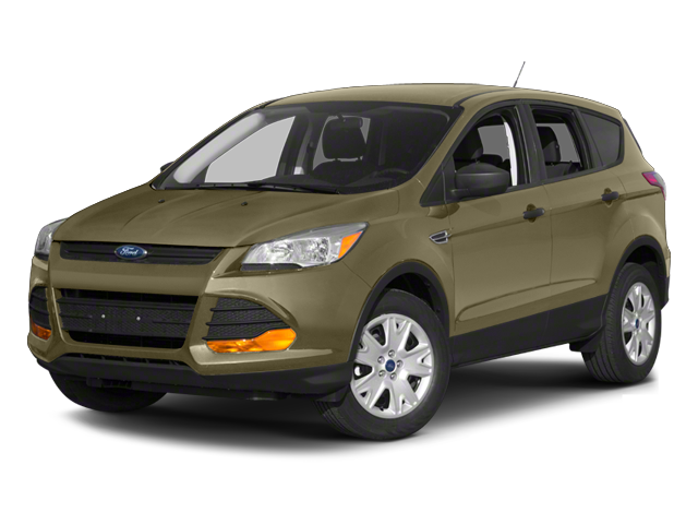 2013 Ford Escape SE photo 2