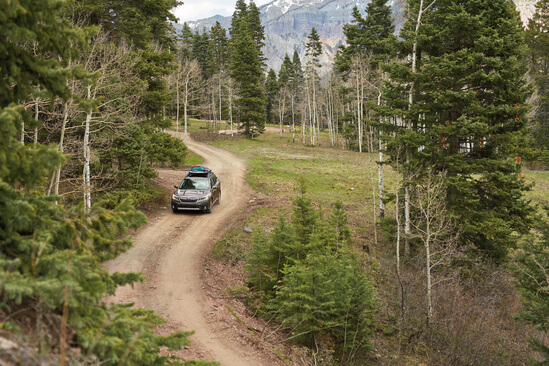 A Subaru Outback driving through a forest