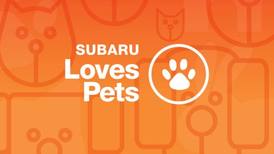 Fitzgerald Subaru of Gaithersburg in Gaithersburg MD