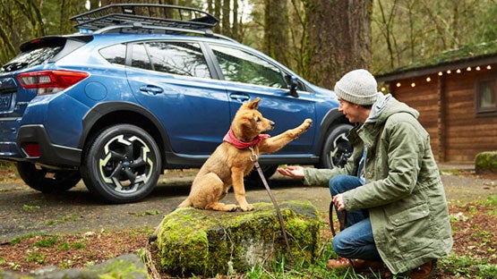 Fitzgerald Subaru of Gaithersburg in Gaithersburg MD