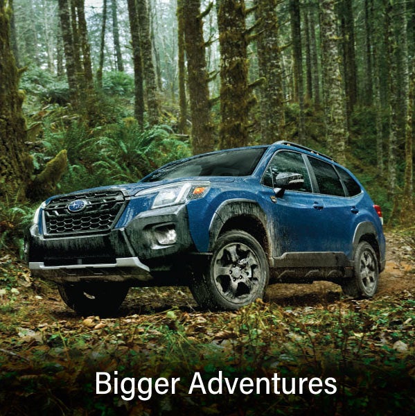 A blue Subaru outback wilderness with the words &ldquo;Bigger Adventures&ldquo;. | Fitzgerald Subaru of Gaithersburg in Gaithersburg MD