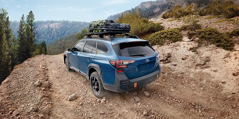 2025 Outback Wilderness