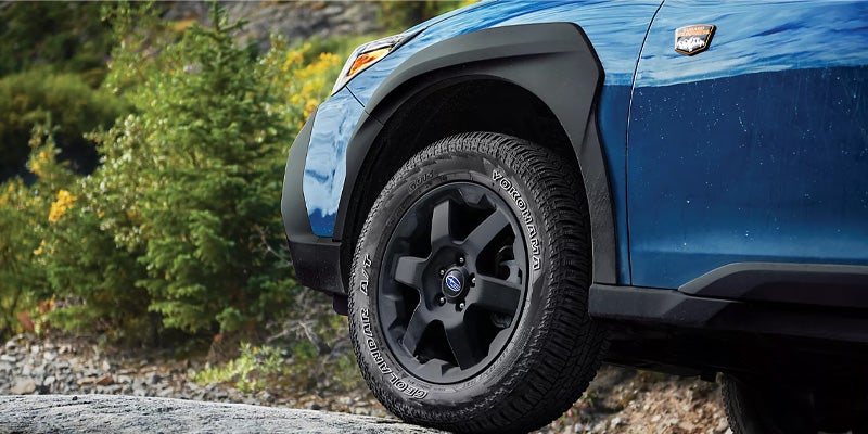 2025 Outback Wilderness