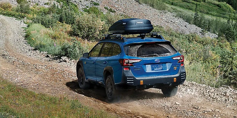 2025 Outback Wilderness