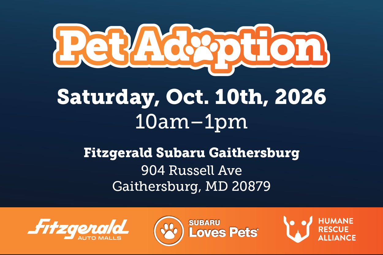 pet adoption subaru gaithersburg
